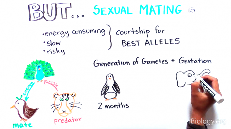 Mini-course: Sexual and asexual reproduction Mini-course: Sexual and asexual reproduction